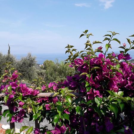 Il Porto Di Benny Bed and Breakfast Αλάσιο Εξωτερικό φωτογραφία